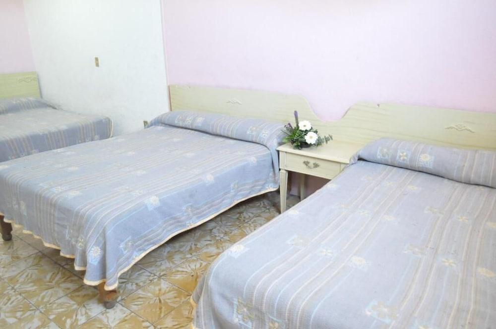 Hotel Viena Irapuato Kültér fotó