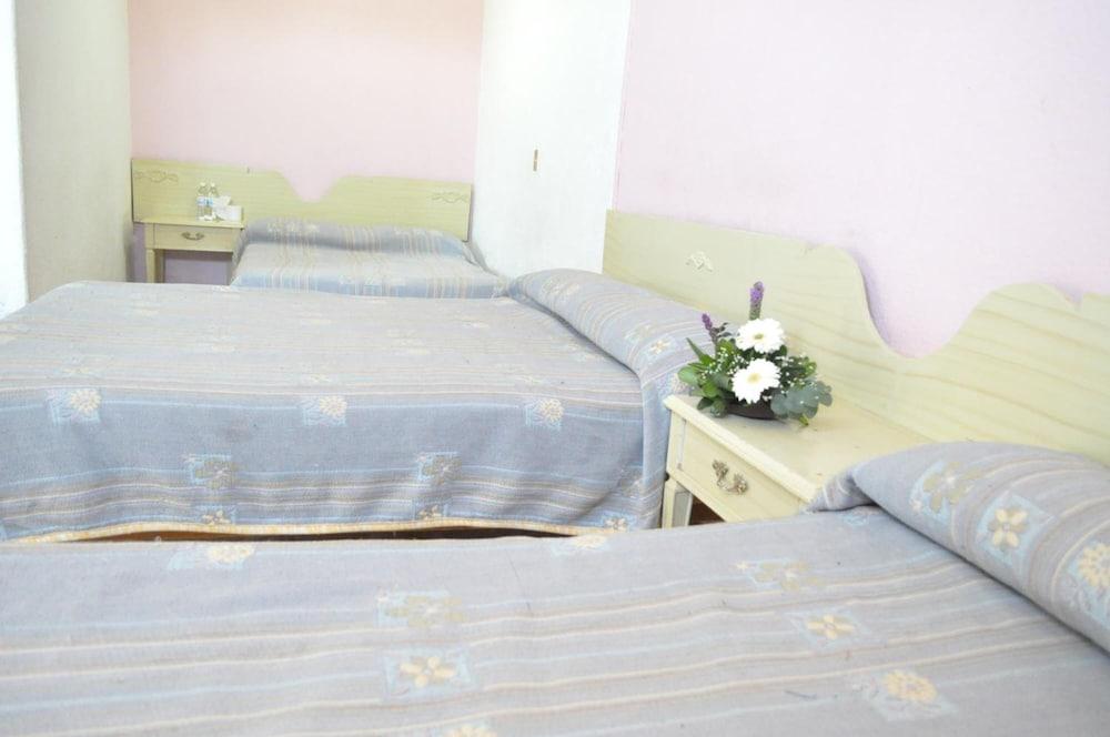 Hotel Viena Irapuato Kültér fotó