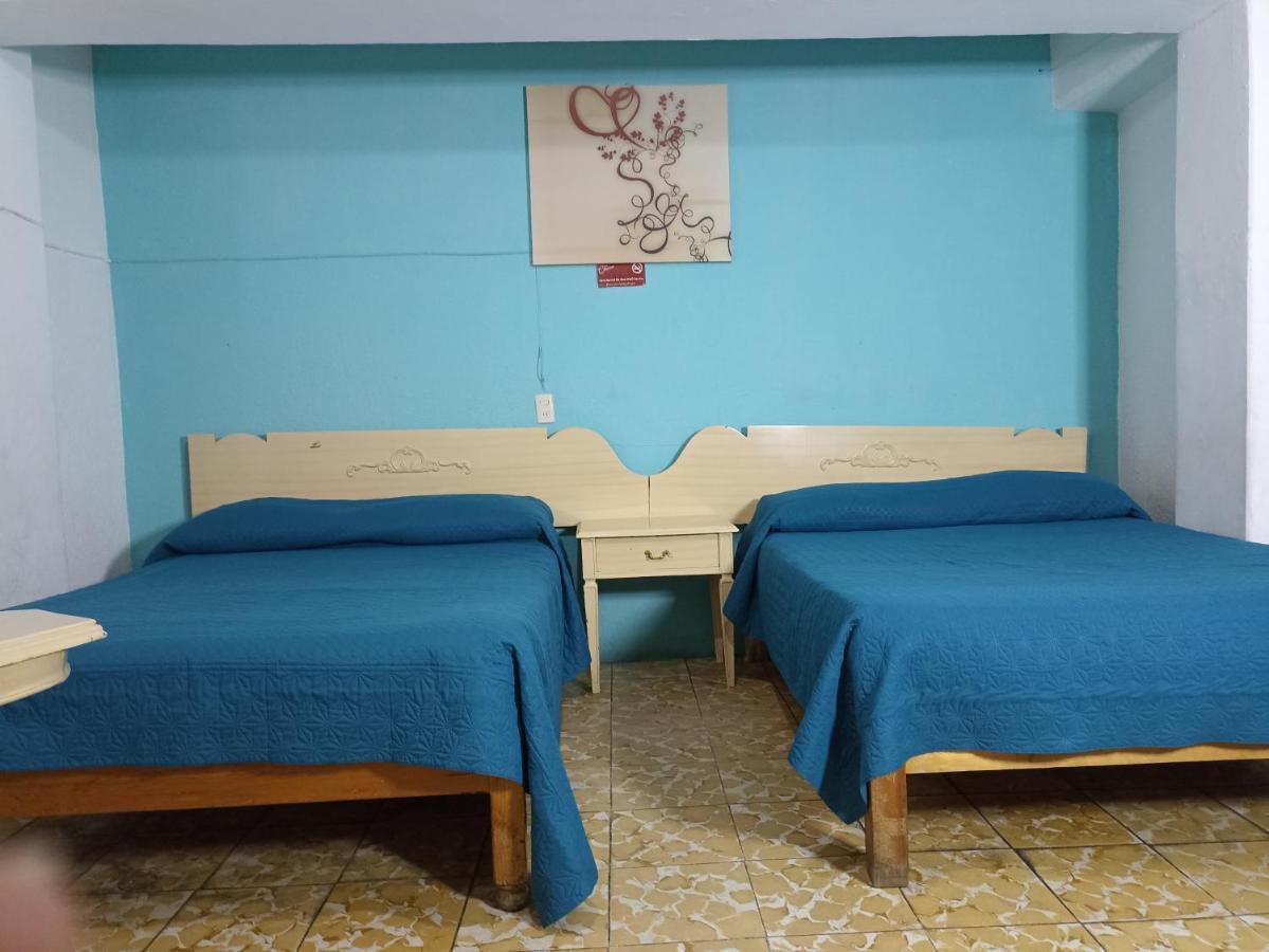 Hotel Viena Irapuato Kültér fotó